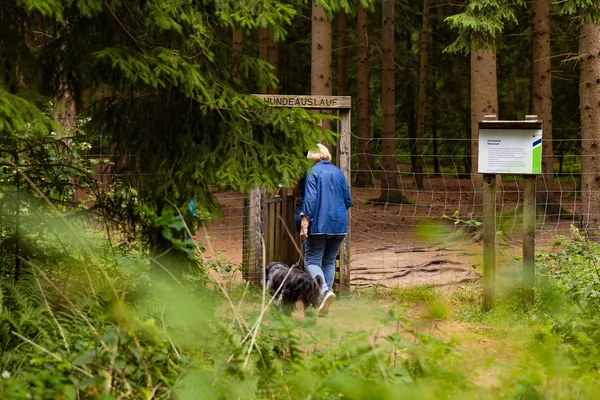 Frau mit Hund an Eingang Hundewald