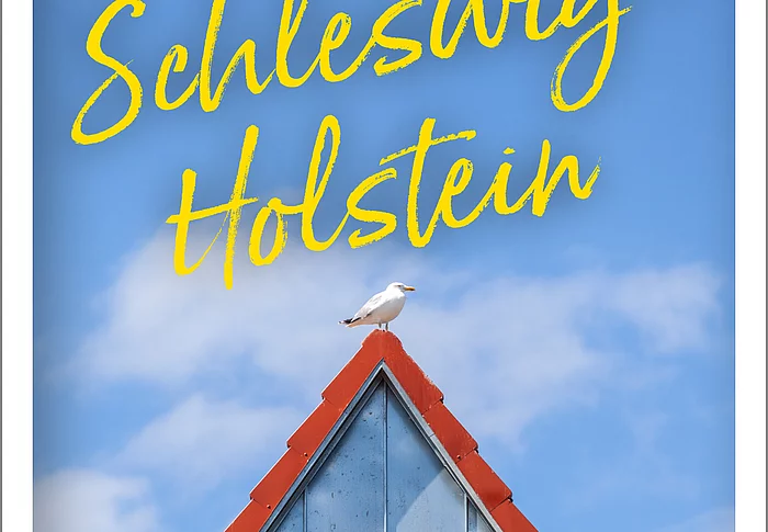 Plakat zum Buch 'Gebrauchsanweisung für Schleswig-Holstein', Darstellung eines Hausgipfels vor blauem Himmel