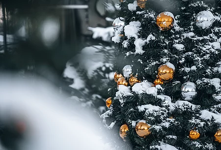 Ausschnitt verschneiter Tanne mit goldenen Kugeln