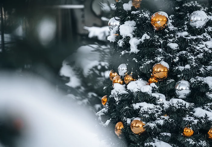 Ausschnitt verschneiter Tanne mit goldenen Kugeln