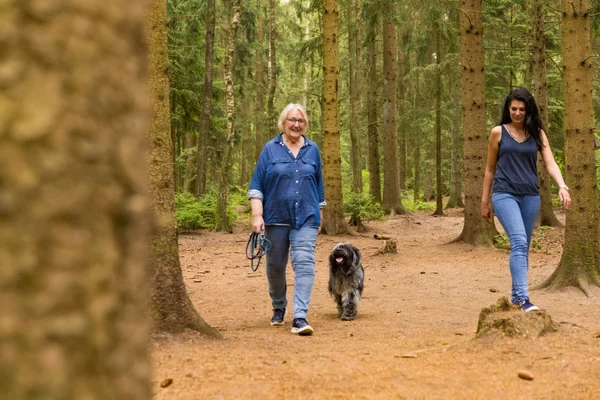 2 Frauen mit Hund im Wald