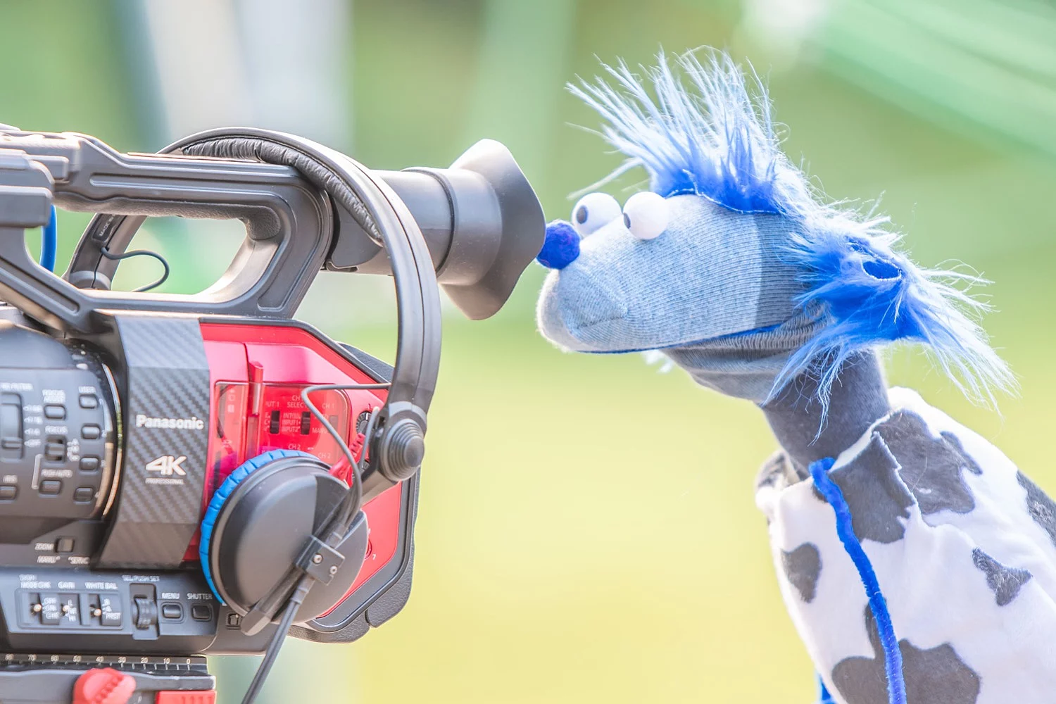 Sockenpuppe mit blauen Kopf schaut durch eine Kamera